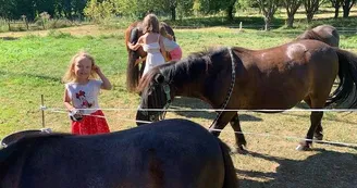 ADADA : Balades à poneys