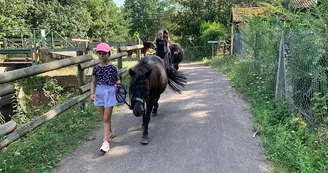 ADADA : Balades à poneys