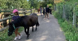 ADADA : Balades à poneys