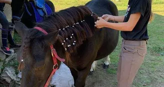 ADADA : Balades à poneys