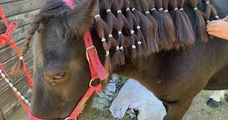 ADADA : Balades à poneys