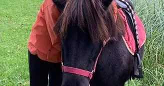 ADADA : Balades à poneys