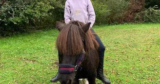 ADADA : Balades à poneys