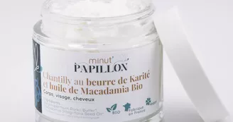 Minut'Papillon