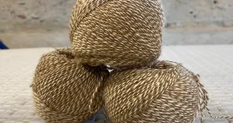 Alpagas et filature de l'Aubepierre