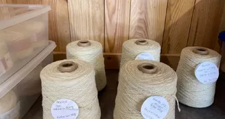 Alpagas et filature de l'Aubepierre