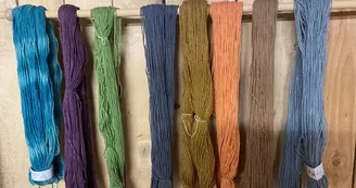 Alpagas et filature de l'Aubepierre