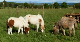 Marie à la ferme