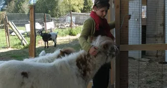 Marie à la ferme