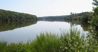 Etang de Vieure