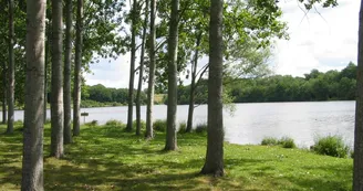 Etang de Vieure