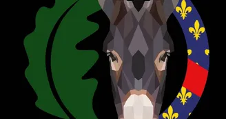 Association Bourbonnaise de Valorisation de l'Âne : Balades et animations à dos d'âne Association Bourbonnaise de Valorisation de l'Âne : Balades et animations à dos d'âne