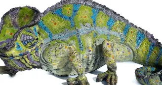Tania Boucard - Sculptures animalières