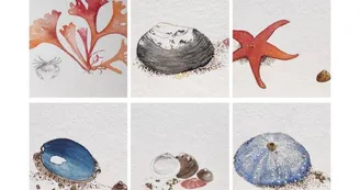 Laurence Feuillade