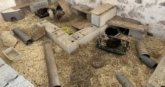 Ferme pédagogique de Bois Plan Ferme pédagogique de Bois Plan