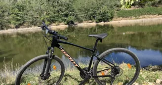 Location de vélos
