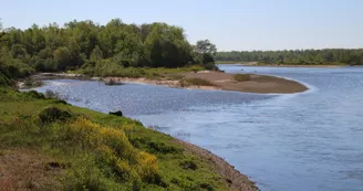 Réserve naturelle régionale du val de Loire bourbonnais