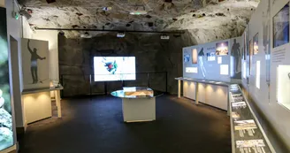 Téléphérique de l'Aiguille du Midi