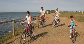 Location de vélos 17 Loisirs - La Brée Location de vélos 17 Loisirs - La Brée