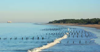 Plage de la Gautrelle Plage de la Gautrelle