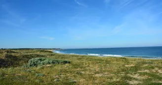 Plage des Seulières Plage des Seulières