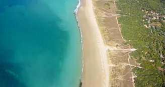 Plage des Seulières Plage des Seulières