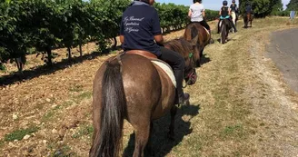 Le Bercail Equitation Le Bercail Equitation