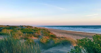 Plage de la Giraudière Plage de la Giraudière