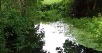 Bords de Gères