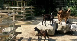 Parc animalier Charles-Edouard Beltrémieux Parc animalier Charles-Edouard Beltrémieux