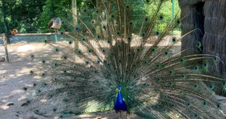 Parc animalier Charles-Edouard Beltrémieux Parc animalier Charles-Edouard Beltrémieux
