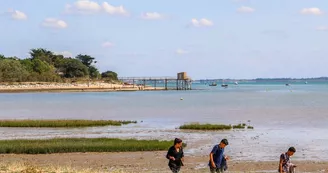 Plage aux coquillages (ou Anse du Saillant) Plage aux coquillages (ou Anse du Saillant)