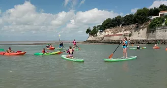 Antioche Kayak : École de pagaie - Initiation au stand up paddle Antioche Kayak : École de pagaie - Initiation au stand up paddle