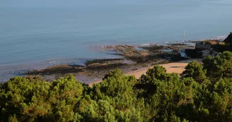 Plage du Concheau de Suzac Plage du Concheau de Suzac