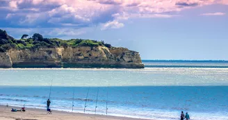 Grande Plage Sud -Les Oliviers