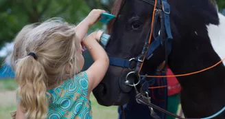 Le Petit Trot Cormillon