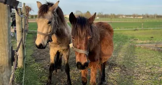 Le Petit Trot Cormillon