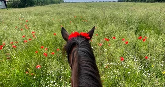 Le Petit Trot Cormillon