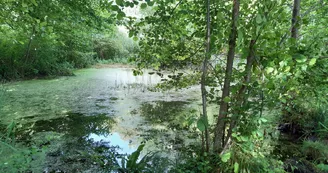 La vallée des Fontenelles La vallée des Fontenelles