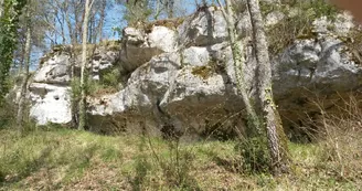 La vallée des Fontenelles La vallée des Fontenelles