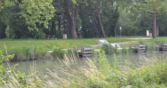 Parcours pêche - Canal de dérivation de la Sèvre Niortaise Parcours pêche - Canal de dérivation de la Sèvre Niortaise