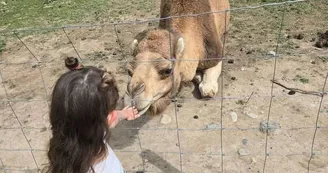 Écozootopia - Parc animalier pédagogique
