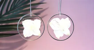 Blossom Blossom