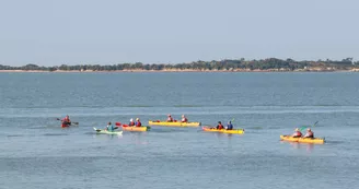 Location de kayak et Stand Up Paddle Location de kayak et Stand Up Paddle