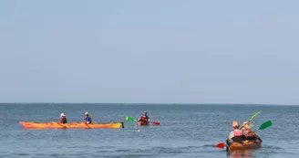 Location de kayak et Stand Up Paddle Location de kayak et Stand Up Paddle