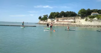 Location de kayak et Stand Up Paddle Location de kayak et Stand Up Paddle