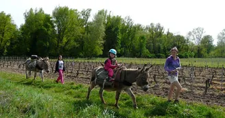 Randonnée avec un âne 2 jours - Carab'âne