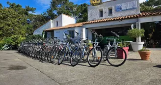 Location de vélos - Total Station Service Location de vélos - Total Station Service