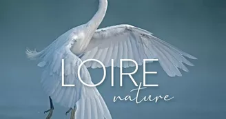 Exposition du Photographe Louis-Marie Préau Exposition du Photographe Louis-Marie Préau