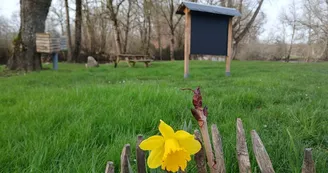 Coco des Bois Coco des Bois